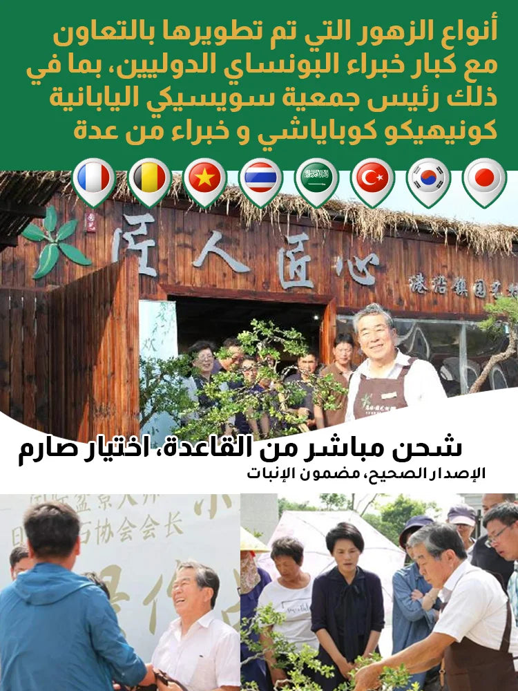 (يوصي بها البستانيون) مجموعة زهور موسمية لجميع أنواع التربة
