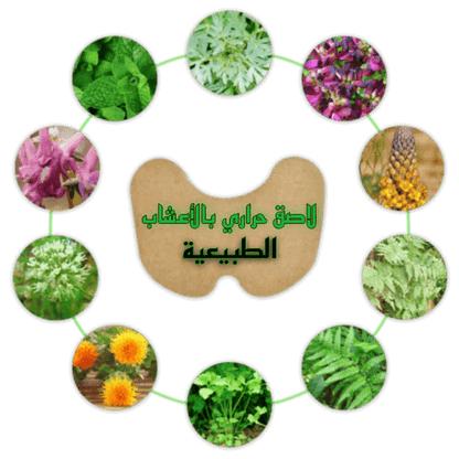 2023 .اللاصقة الحرارية بالأعشاب الطبيعية للتـخلـص من ألـم الركبة™ - 14 قطعة - Makfool