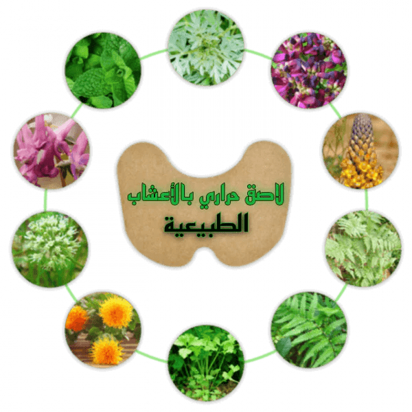 اللاصقة الحرارية بالأعشاب الطبيعية للتـخلـص من ألـم الركبة™ - 14 قطعة UAE - Makfool