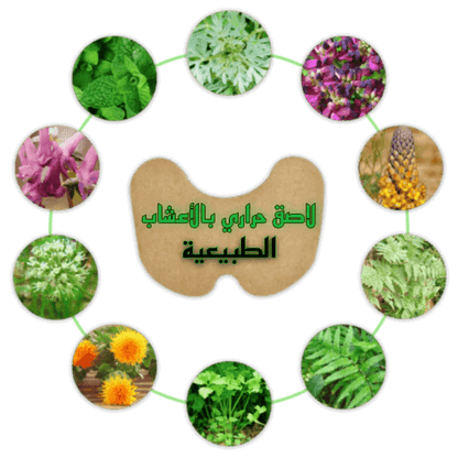 اللاصقة الحرارية بالأعشاب الطبيعية للتـخلـص من ألـم الركبة™ - 14 قطعة UAE - Makfool