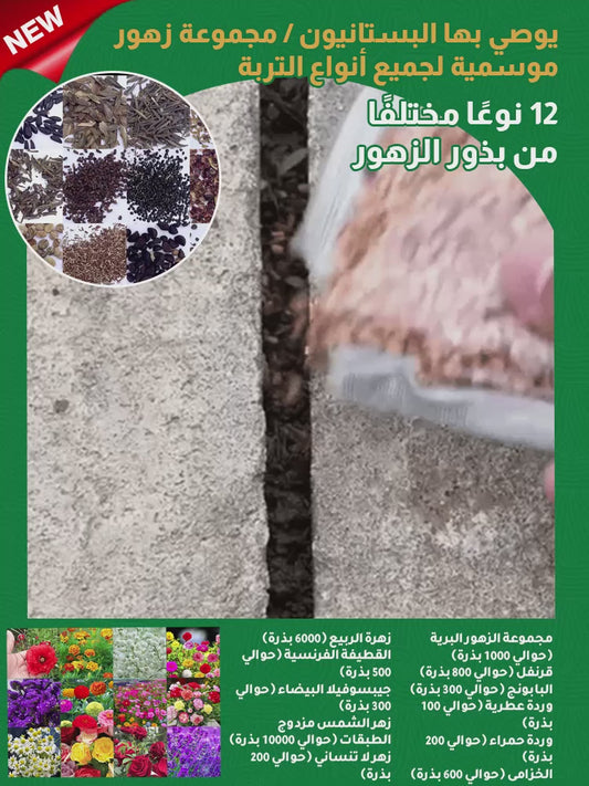 (يوصي بها البستانيون) مجموعة زهور موسمية لجميع أنواع التربة